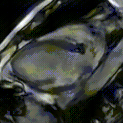 7左.gif
